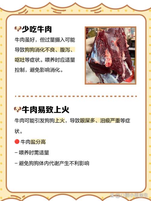 狗狗可以吃牛排吗,狗可以吃牛排嘛-第1张图片-后鲨宠物 狗狗可以吃牛排吗,狗可以吃牛排嘛-第1张图片-后鲨宠物