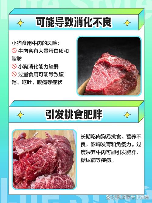 狗狗可以吃牛排吗,狗可以吃牛排嘛-第2张图片-后鲨宠物 狗狗可以吃牛排吗,狗可以吃牛排嘛-第2张图片-后鲨宠物