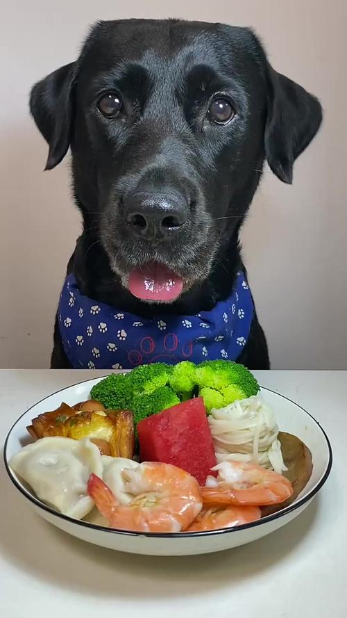 狗狗可以吃牛排吗,狗可以吃牛排嘛-第3张图片-后鲨宠物 狗狗可以吃牛排吗,狗可以吃牛排嘛-第3张图片-后鲨宠物