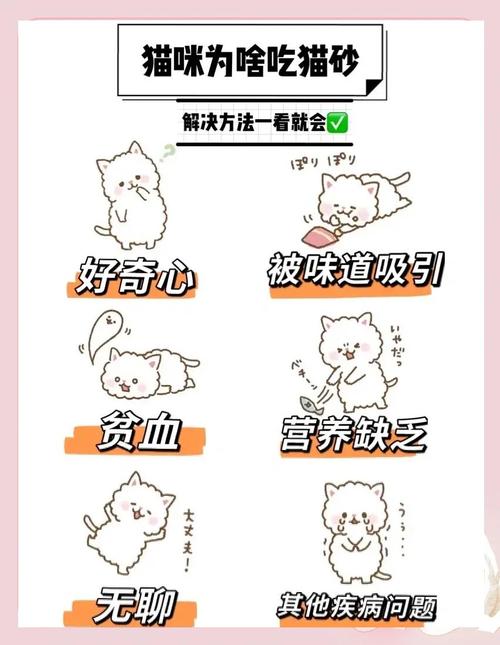 猫咪吃猫砂怎么办,猫咪吃猫砂怎么办啊?-第1张图片-后鲨宠物 猫咪吃猫砂怎么办,猫咪吃猫砂怎么办啊?-第1张图片-后鲨宠物