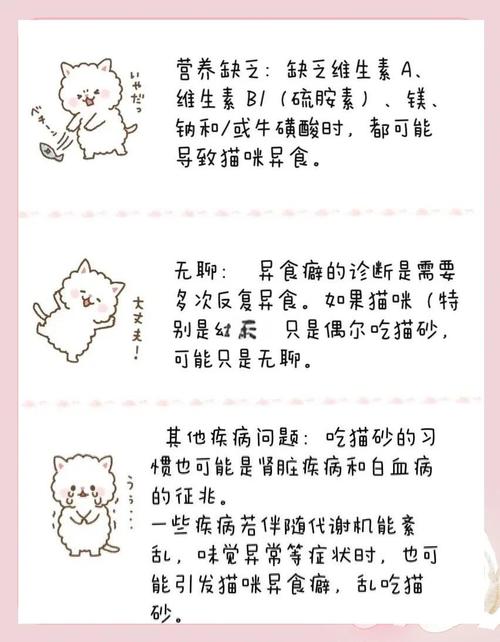 猫咪吃猫砂怎么办,猫咪吃猫砂怎么办啊?-第3张图片-后鲨宠物 猫咪吃猫砂怎么办,猫咪吃猫砂怎么办啊?-第3张图片-后鲨宠物