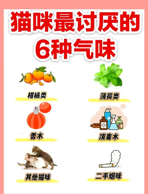 猫咪讨厌什么味道_猫咪讨厌什么味道的喷雾-第2张图片-后鲨宠物 猫咪讨厌什么味道_猫咪讨厌什么味道的喷雾-第2张图片-后鲨宠物