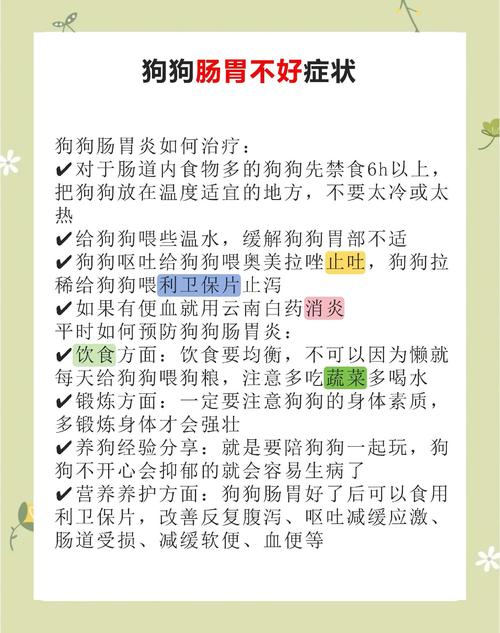 狗狗急性肠胃炎的症状，狗狗急性肠胃炎的症状是什么？
