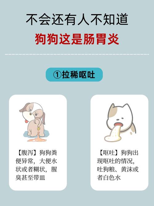 狗狗急性肠胃炎的症状,狗狗急性肠胃炎的症状是什么?-第3张图片-后鲨宠物 狗狗急性肠胃炎的症状,狗狗急性肠胃炎的症状是什么?-第3张图片-后鲨宠物