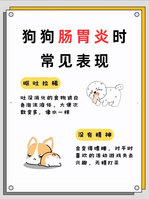 狗狗急性肠胃炎的症状,狗狗急性肠胃炎的症状是什么?-第5张图片-后鲨宠物 狗狗急性肠胃炎的症状,狗狗急性肠胃炎的症状是什么?-第5张图片-后鲨宠物