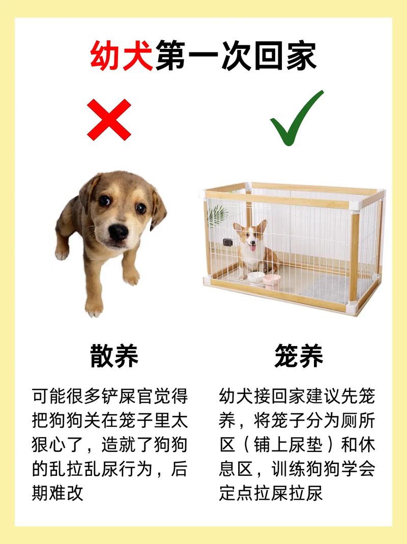 狗狗寄养会不会伤心_狗狗寄养会不会伤心流泪