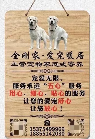 狗狗寄养会不会伤心_狗狗寄养会不会伤心流泪-第2张图片-后鲨宠物