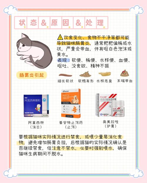 猫咪拉绿色的屎,猫咪拉绿色的屎带血-第4张图片-后鲨宠物 猫咪拉绿色的屎,猫咪拉绿色的屎带血-第4张图片-后鲨宠物