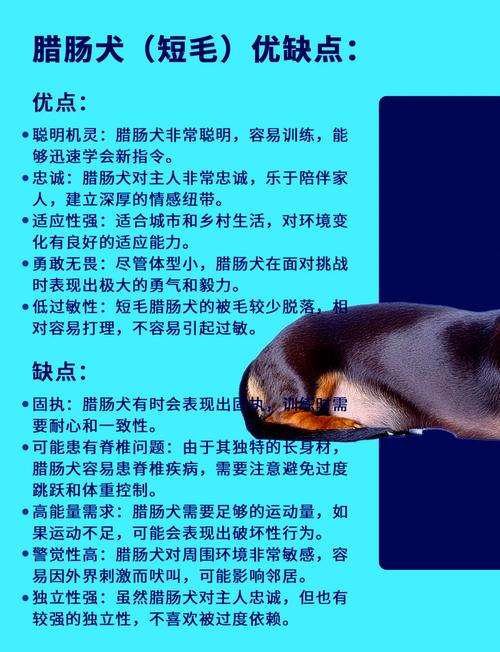 狗狗能吃猪油吗，狗可以吃猪油的后果？-第5张图片-后鲨宠物