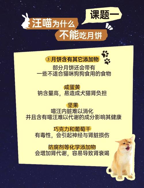 猫咪能吃月饼吗,猫咪能吃月饼吗会死吗?-第1张图片-后鲨宠物 猫咪能吃月饼吗,猫咪能吃月饼吗会死吗?-第1张图片-后鲨宠物