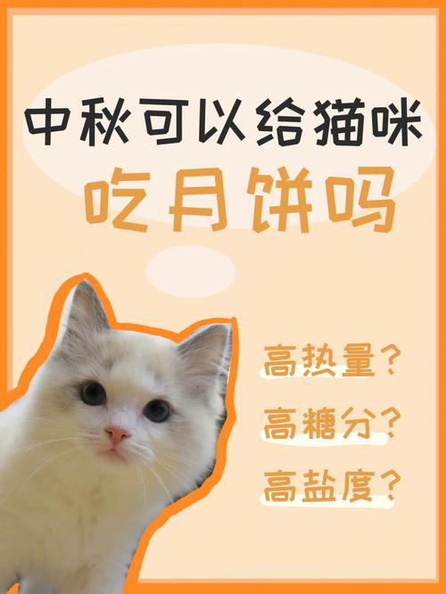 猫咪能吃月饼吗,猫咪能吃月饼吗会死吗?-第4张图片-后鲨宠物 猫咪能吃月饼吗,猫咪能吃月饼吗会死吗?-第4张图片-后鲨宠物