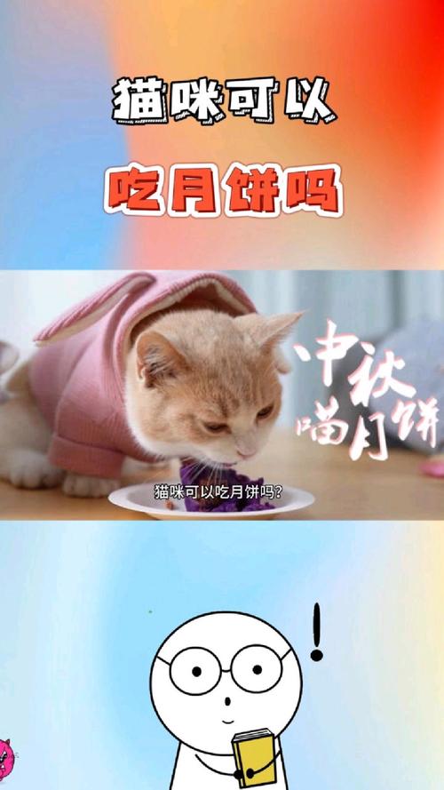 猫咪能吃月饼吗,猫咪能吃月饼吗会死吗?-第5张图片-后鲨宠物 猫咪能吃月饼吗,猫咪能吃月饼吗会死吗?-第5张图片-后鲨宠物