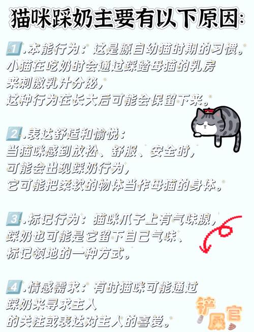 猫猫为什么踩奶，猫猫为什么踩奶会哈人？