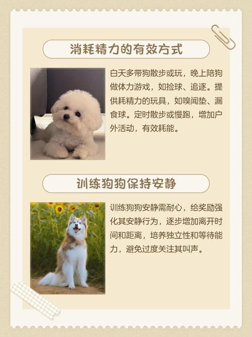 刚到家的狗狗一直叫怎么办_狗狗刚到家一直叫怎么回事