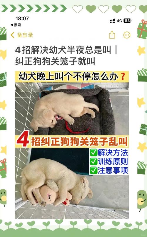 刚到家的狗狗一直叫怎么办_狗狗刚到家一直叫怎么回事-第4张图片-后鲨宠物 刚到家的狗狗一直叫怎么办_狗狗刚到家一直叫怎么回事-第4张图片-后鲨宠物