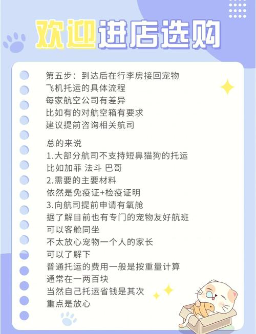 猫咪怎么上火车,宠物猫怎么上火车-第1张图片-后鲨宠物 猫咪怎么上火车,宠物猫怎么上火车-第1张图片-后鲨宠物