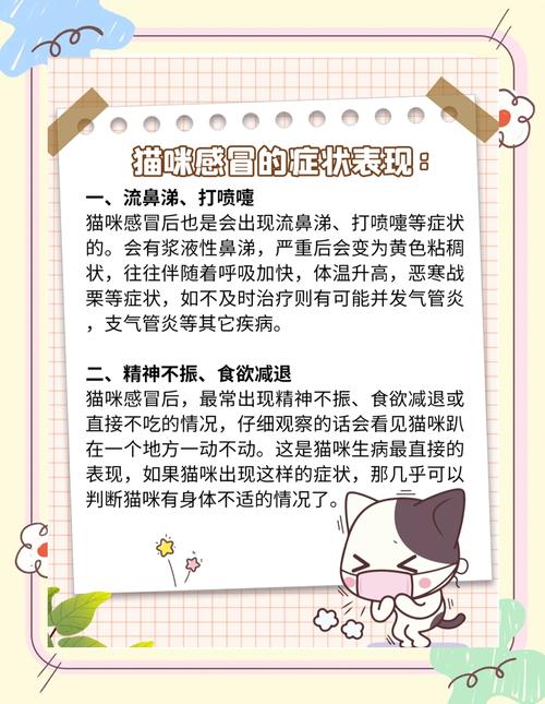 猫咪感冒会传染给人吗,猫感冒会传染吗给猫吗-第2张图片-后鲨宠物 猫咪感冒会传染给人吗,猫感冒会传染吗给猫吗-第2张图片-后鲨宠物