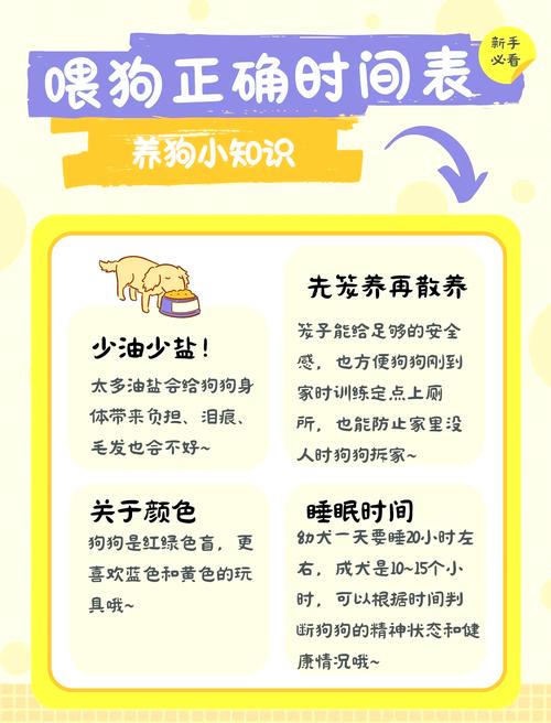 狗狗拉稀还能喂食吗_狗狗拉稀还可以喂食吗-第2张图片-后鲨宠物 狗狗拉稀还能喂食吗_狗狗拉稀还可以喂食吗-第2张图片-后鲨宠物