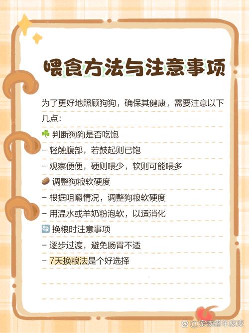 狗狗拉稀还能喂食吗_狗狗拉稀还可以喂食吗-第3张图片-后鲨宠物 狗狗拉稀还能喂食吗_狗狗拉稀还可以喂食吗-第3张图片-后鲨宠物