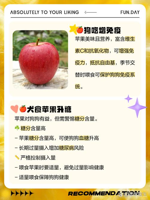 狗狗可以吃苹果吗_2个月的狗狗可以吃苹果吗-第2张图片-后鲨宠物 狗狗可以吃苹果吗_2个月的狗狗可以吃苹果吗-第2张图片-后鲨宠物