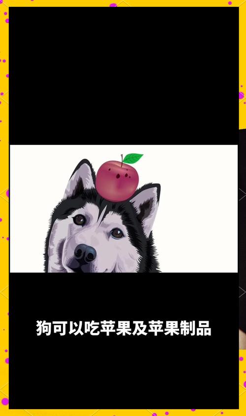 狗狗可以吃苹果吗_2个月的狗狗可以吃苹果吗-第3张图片-后鲨宠物 狗狗可以吃苹果吗_2个月的狗狗可以吃苹果吗-第3张图片-后鲨宠物