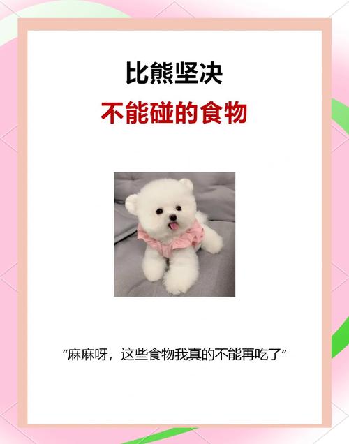  狗狗可以吃鸡蛋羹吗，小狗可以吃鸡蛋羹拌饭吗