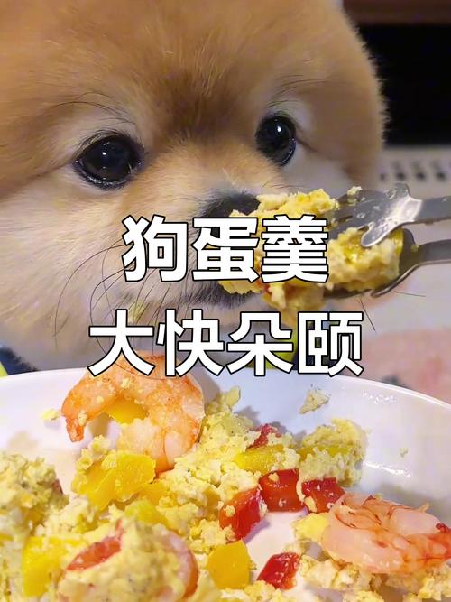 狗狗可以吃鸡蛋羹吗,小狗可以吃鸡蛋羹拌饭吗-第3张图片-后鲨宠物 狗狗可以吃鸡蛋羹吗,小狗可以吃鸡蛋羹拌饭吗-第3张图片-后鲨宠物