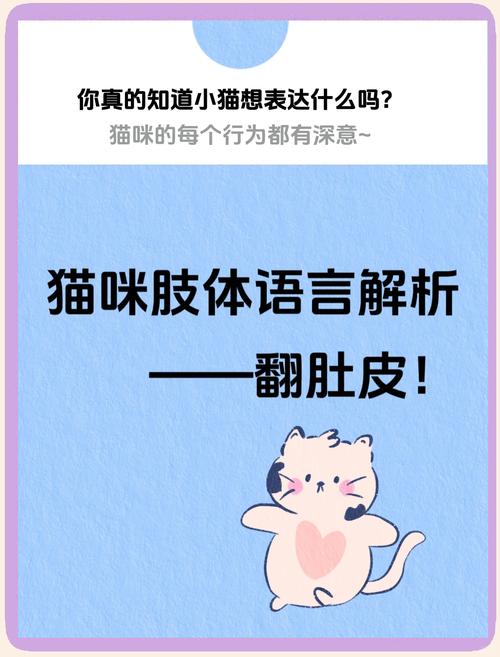 猫咪打滚是什么意思,猫打滚是怎么了?-第5张图片-后鲨宠物 猫咪打滚是什么意思,猫打滚是怎么了?-第5张图片-后鲨宠物