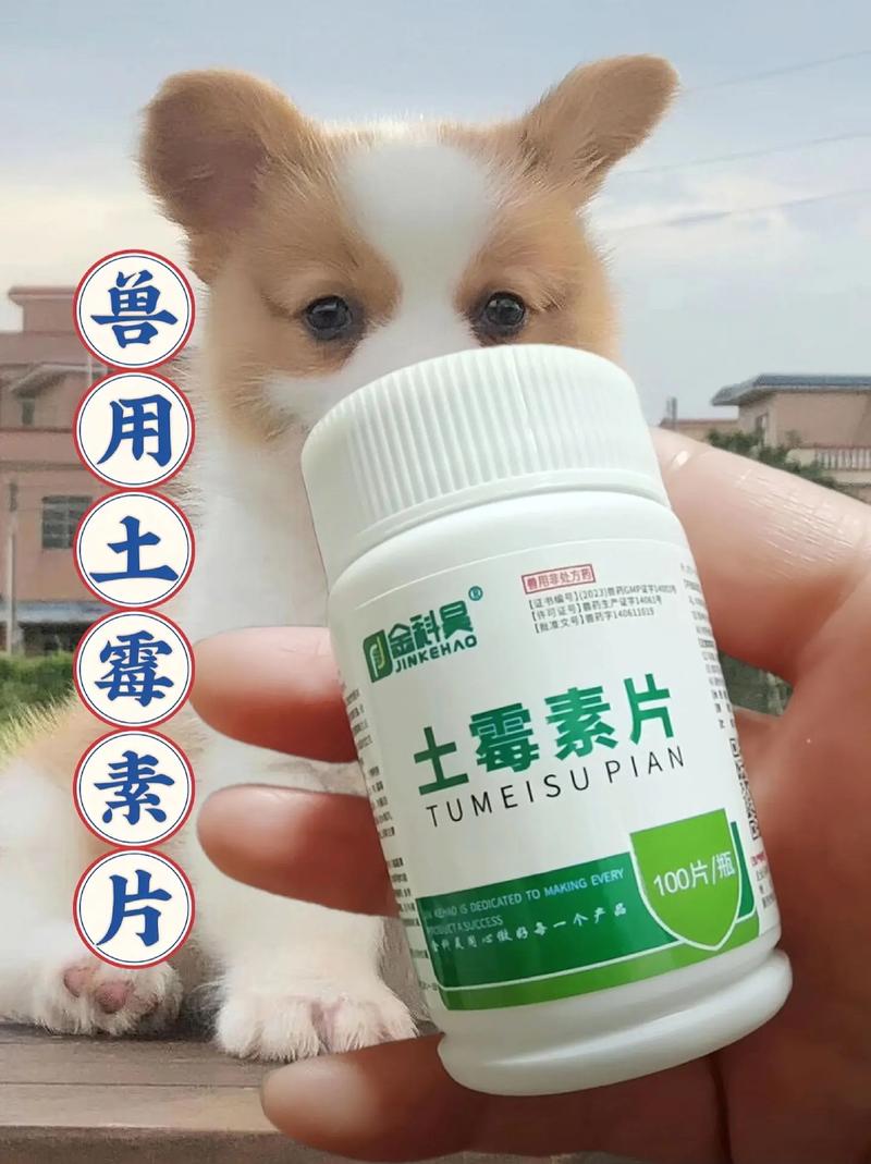 狗狗吃土霉素的用量，狗狗吃土霉素的剂量？-第1张图片-后鲨宠物