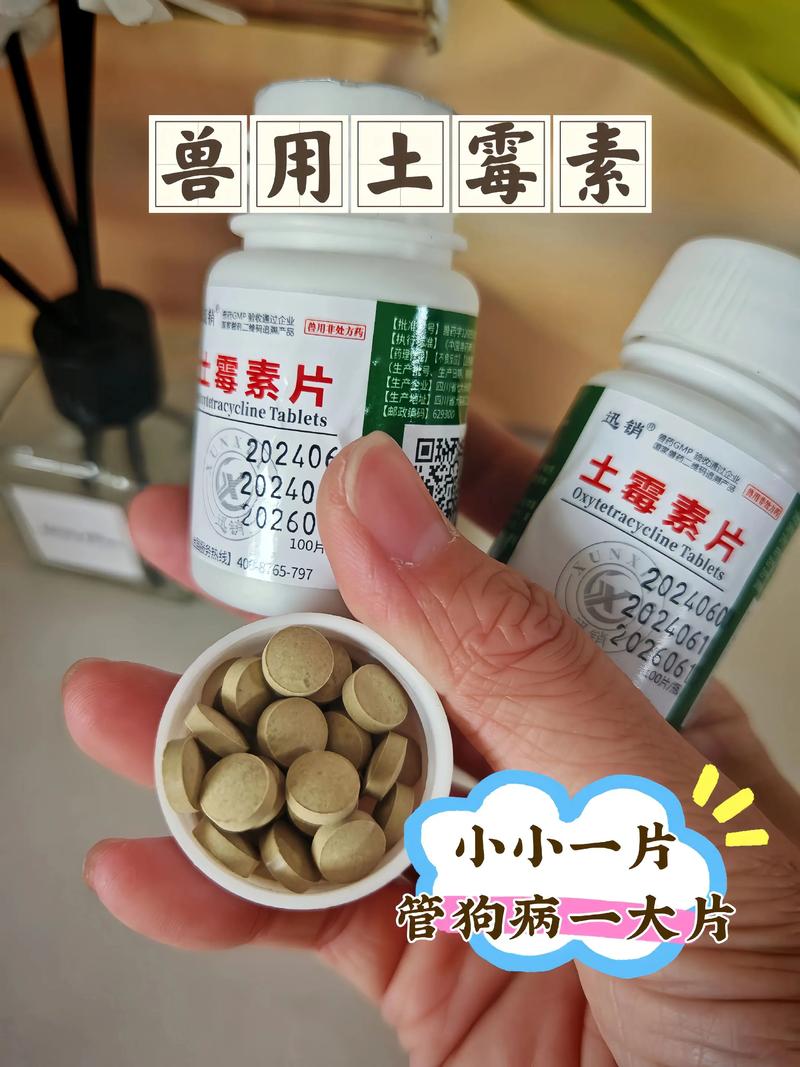 狗狗吃土霉素的用量，狗狗吃土霉素的剂量？-第4张图片-后鲨宠物