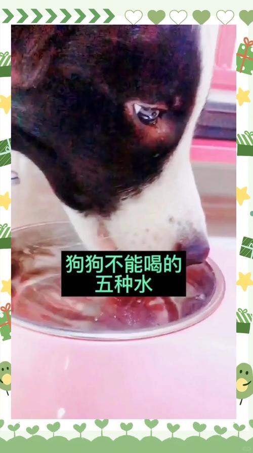 狗狗喝肥皂水多久能吐,狗狗喝肥皂水多久能吐完-第6张图片-后鲨宠物 狗狗喝肥皂水多久能吐,狗狗喝肥皂水多久能吐完-第6张图片-后鲨宠物