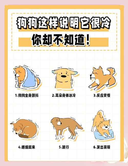  狗狗害怕发抖怎么办，狗狗害怕哆嗦怎么办