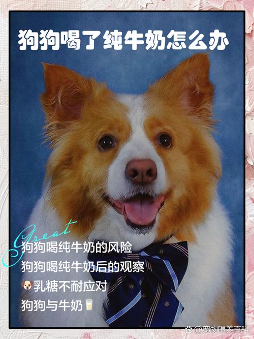 狗狗喝了牛奶怎么办_狗喝了牛奶怎么补救