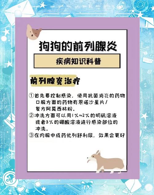  狗狗前列腺肿大怎么办，狗狗前列腺肿大会有什么症状