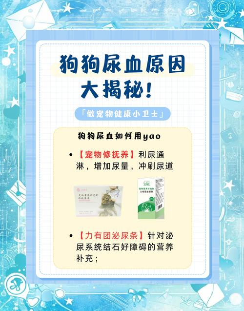 狗狗前列腺肿大怎么办,狗狗前列腺肿大会有什么症状-第2张图片-后鲨宠物 狗狗前列腺肿大怎么办,狗狗前列腺肿大会有什么症状-第2张图片-后鲨宠物