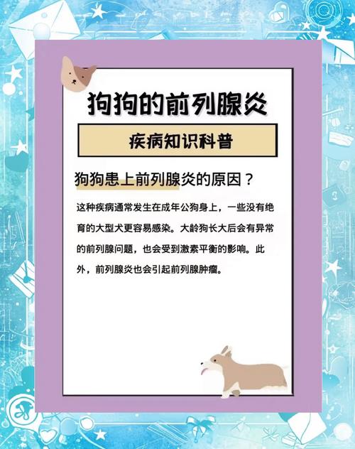 狗狗前列腺肿大怎么办,狗狗前列腺肿大会有什么症状-第4张图片-后鲨宠物 狗狗前列腺肿大怎么办,狗狗前列腺肿大会有什么症状-第4张图片-后鲨宠物