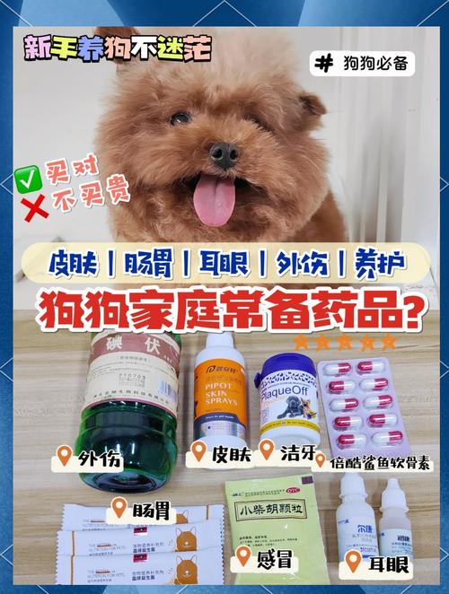 狗狗便秘吃什么最管用_狗狗便秘吃啥-第3张图片-后鲨宠物 狗狗便秘吃什么最管用_狗狗便秘吃啥-第3张图片-后鲨宠物