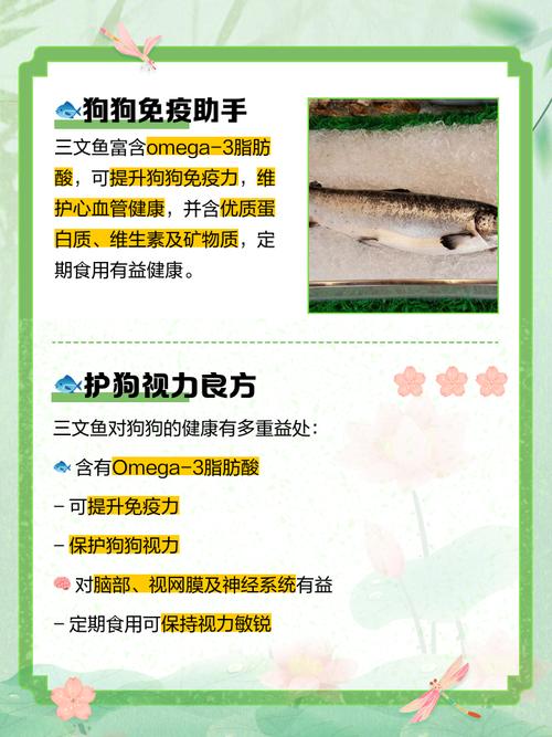 狗狗可以吃三文鱼吗，狗能吃三文鱼嘛？-第2张图片-后鲨宠物