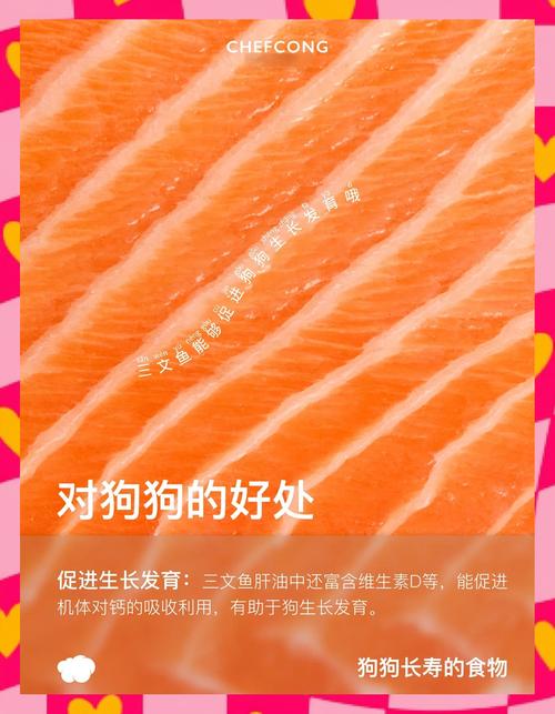 狗狗可以吃三文鱼吗，狗能吃三文鱼嘛？-第3张图片-后鲨宠物