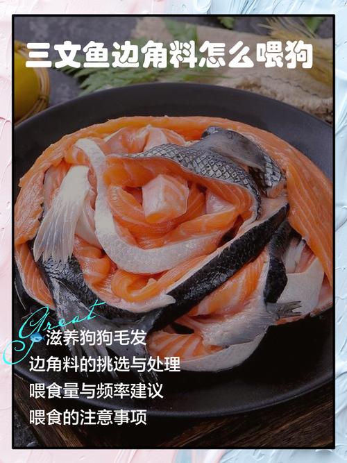 狗狗可以吃三文鱼吗，狗能吃三文鱼嘛？-第6张图片-后鲨宠物