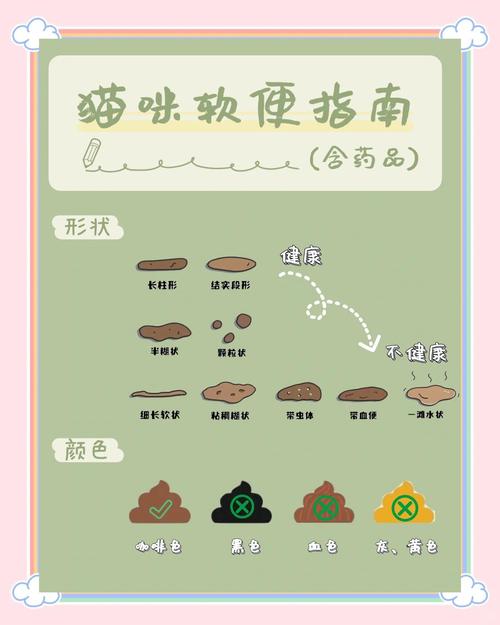 猫咪拉肚子了吃什么药_猫咪拉肚子吃什么药最有效?-第1张图片-后鲨宠物 猫咪拉肚子了吃什么药_猫咪拉肚子吃什么药最有效?-第1张图片-后鲨宠物