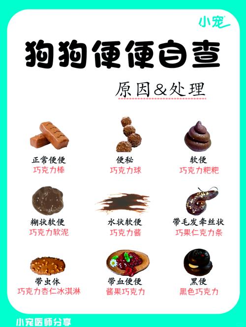 狗狗便便颜色代表什么_狗狗大便颜色参照表-第1张图片-后鲨宠物 狗狗便便颜色代表什么_狗狗大便颜色参照表-第1张图片-后鲨宠物