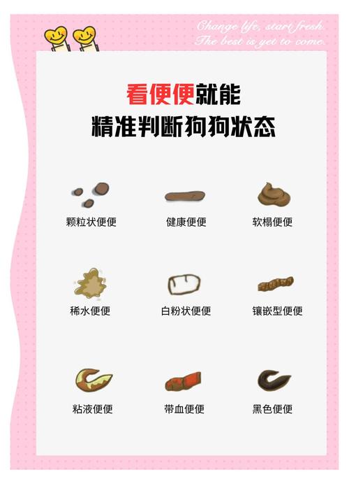 狗狗便便颜色代表什么_狗狗大便颜色参照表-第3张图片-后鲨宠物 狗狗便便颜色代表什么_狗狗大便颜色参照表-第3张图片-后鲨宠物