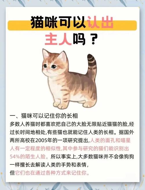 猫咪认识主人吗,猫咪认识主人吗知乎?-第1张图片-后鲨宠物 猫咪认识主人吗,猫咪认识主人吗知乎?-第1张图片-后鲨宠物