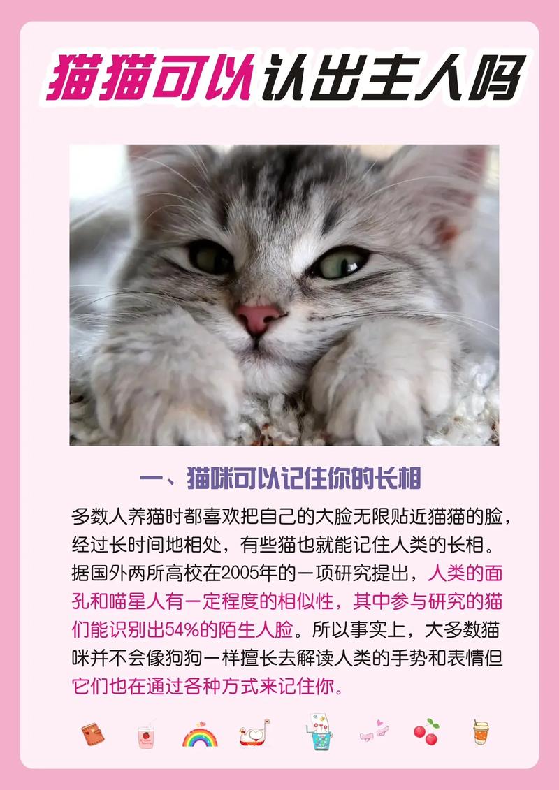 猫咪认识主人吗,猫咪认识主人吗知乎?-第2张图片-后鲨宠物 猫咪认识主人吗,猫咪认识主人吗知乎?-第2张图片-后鲨宠物