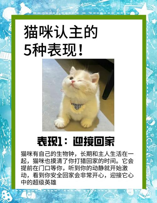 猫咪认识主人吗,猫咪认识主人吗知乎?-第4张图片-后鲨宠物 猫咪认识主人吗,猫咪认识主人吗知乎?-第4张图片-后鲨宠物