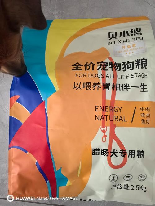 十斤的狗狗一天吃多少狗粮,十斤狗一天喂多少狗粮-第3张图片-后鲨宠物 十斤的狗狗一天吃多少狗粮,十斤狗一天喂多少狗粮-第3张图片-后鲨宠物