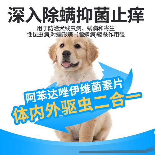 狗狗得螨虫了用什么药,狗狗螨虫感染用什么药膏-第6张图片-后鲨宠物 狗狗得螨虫了用什么药,狗狗螨虫感染用什么药膏-第6张图片-后鲨宠物