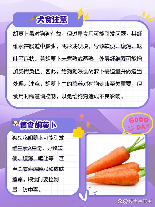 狗狗可以吃胡萝卜么_宠物狗狗可以吃胡萝卜吗