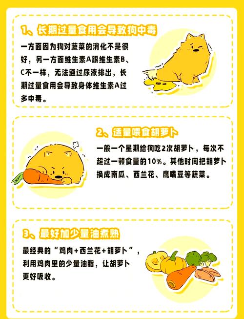 狗狗可以吃胡萝卜么_宠物狗狗可以吃胡萝卜吗-第3张图片-后鲨宠物 狗狗可以吃胡萝卜么_宠物狗狗可以吃胡萝卜吗-第3张图片-后鲨宠物